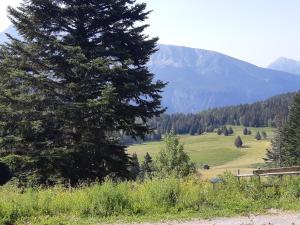 Appartements Sorbiers A02 a Chamrousse 1700 en rez de jardin plein sud : photos des chambres