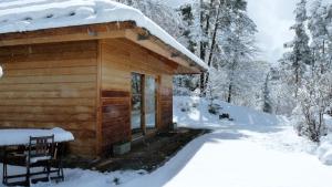 Chalets Le Carre de Bois : photos des chambres