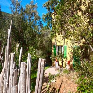 Appartements Les Gites du Cap Corse : photos des chambres