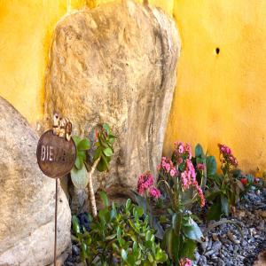 Appartements Les Gites du Cap Corse : photos des chambres