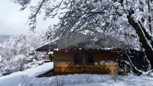 Chalets Le Carre de Bois : photos des chambres