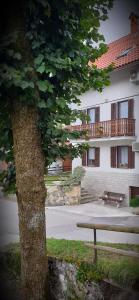 Apartment pri Damijanu