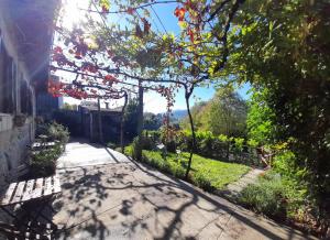 Casa da Vovó (Casa do Tapado)