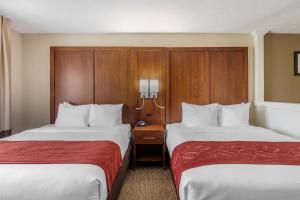 Suite with Two Queen Beds - Accessible/Non-Smoking room in Comfort Suites Speedway - Kansas City
