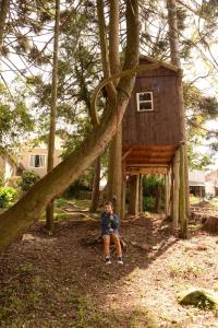 Quintal das Araucárias hospedagem