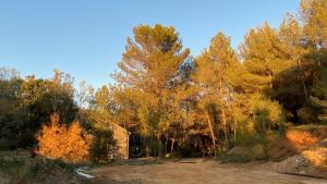 Chalets Domaine Vallon des Ocres : Chalet 1 Chambre