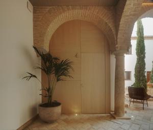 Apartamentos Los Patios del Pañuelo