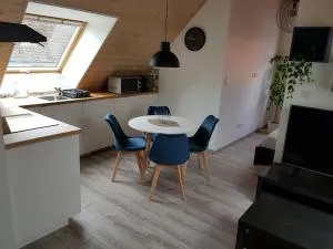 Superbe appartement type T1 proche Strasbourg - Berstett
