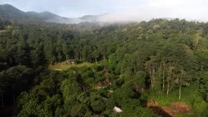 Tawan Riverside - Ban Wang Pha Pun