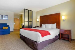 King Suite - Accessible/Non-Smoking room in Comfort Suites Fultondale I-65 near I-22