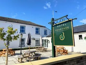 梨树服务式公寓 - 索尔兹伯里