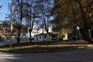 Dream Mountain House