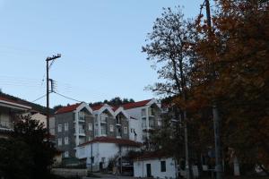 Dream Mountain House