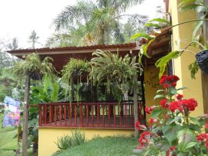 Thermal Paradise Villa