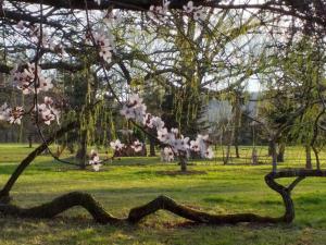 B&B / Chambres d'hotes DOMAINE BERENGUER : photos des chambres