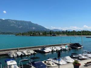 Appartements ECHAPPEE BELLE AU BORD DU LAC : photos des chambres