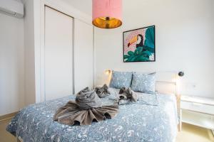 Villa Amana 5 star luxury resort for 10 people in Playa Blanca