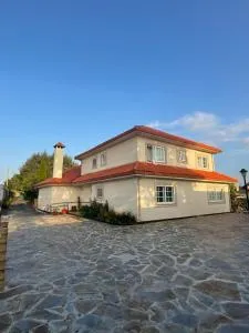 Mar De Frisia - Touro