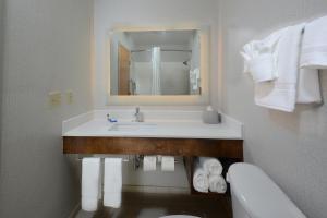 King Room with Mobility Accessible Roll-In Shower - Non-Smoking room in Holiday Inn Express Danville an IHG Hotel
