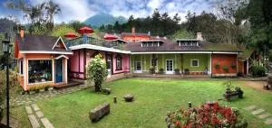 Li Jin Kuan Homestay - Ch'a-yüan-p'ing