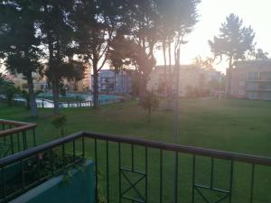 Algarrobo playa y parque