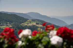 Schartnerhof Ferienwohnung Thymian