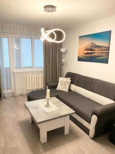 Studio flat in Panevezys