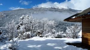 Chalets Le Carre de Bois : photos des chambres