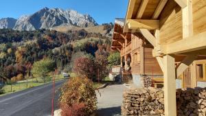 Chalets Chalet La Canopee : photos des chambres