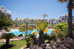 Parque Santiago IV 70 Studio with sea and pool view