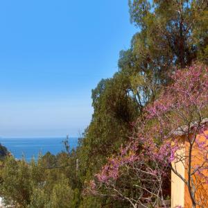 Appartements Les Gites du Cap Corse : photos des chambres