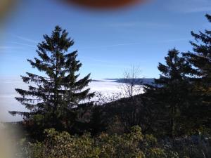 Wohnungen- Christopherhof MJ,Grafenwiesen