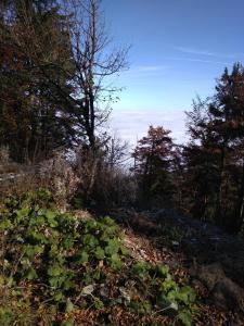 Wohnungen- Christopherhof MJ,Grafenwiesen