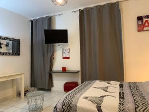 Appartements Studio Triangle Arene Gare Maison Carree Placette : photos des chambres