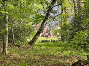 Villas Chateau de la Combe : photos des chambres