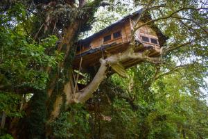 Kumbuk Tree House Yala Safari Place