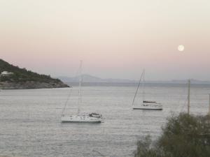 Sunrise Flora Aegina Greece