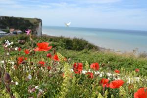 Maisons de vacances 