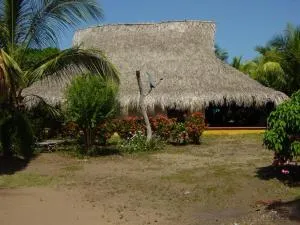 La Coralina azul - La Rada