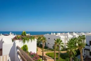 Uva - San Juan de los Terreros