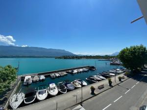 Appartements Escapade au bord du lac du Bourget : photos des chambres