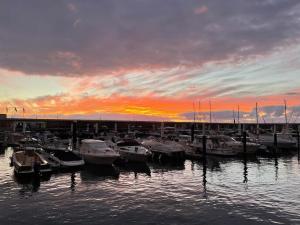 Amazing Atlantic and Breathtaking Mountains Views