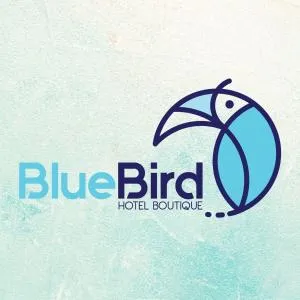 Blue Bird - Calderitas