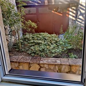 Apartman Slatka Tajna