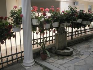 Blue Dream Hotel Pieria Greece