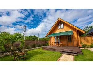 Lagasis Ishigaki Nosako Villa - Vacation STAY 74548v - Fukai