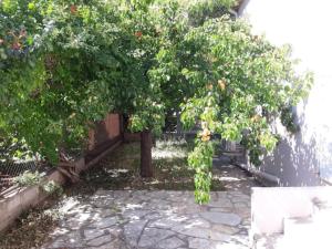 Appartements LE GALLI en plein coeur de Sanary : photos des chambres