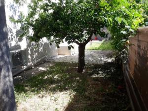 Appartements LE GALLI en plein coeur de Sanary : photos des chambres