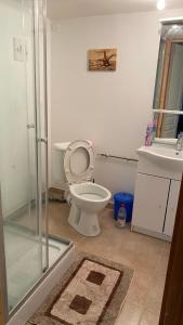Appartements Studio 20 m2 : photos des chambres
