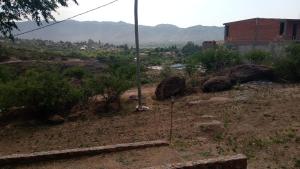 Cabañas La Rústica